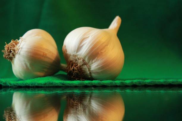 سیر صادراتی همدان در وزن های مختلف