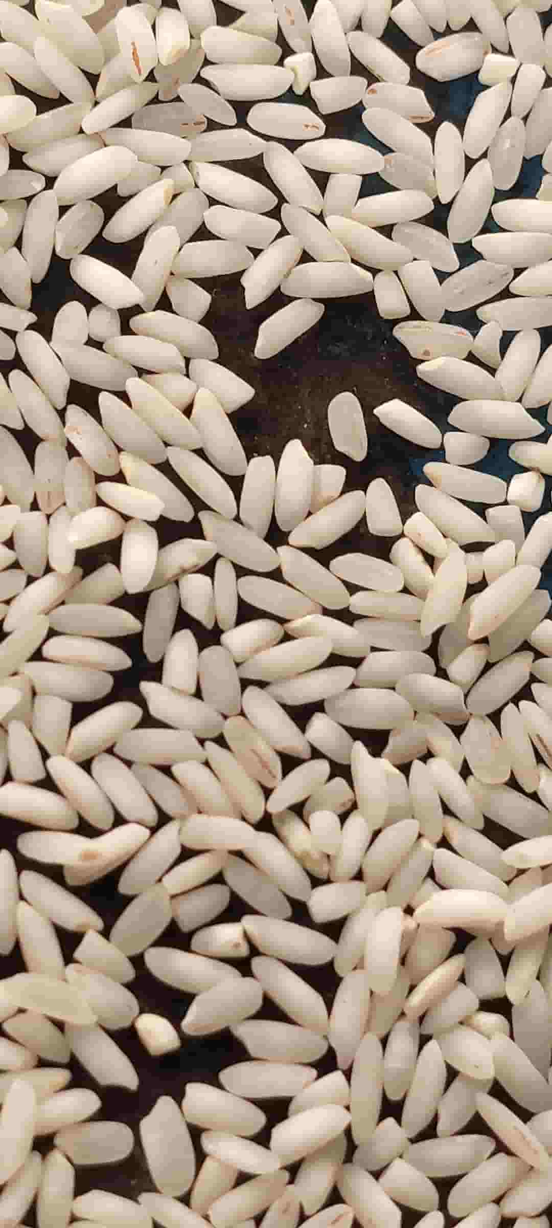 تصویر 3 از قیمت برنج عنبر بوی درجه یک شوشتر