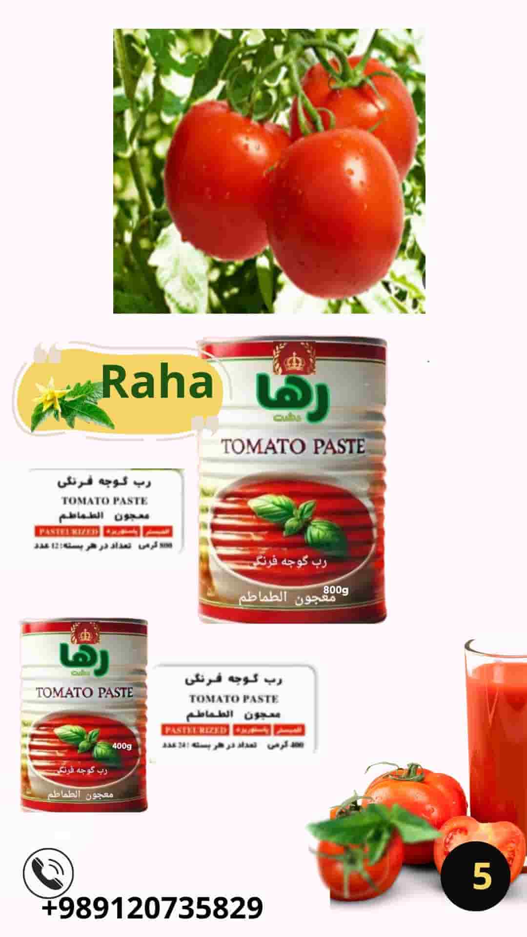 رب گوجه فرنگی 700 گرمی رها دشت