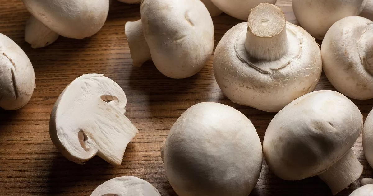 تصویر 3 از قارچ خوراکی تازه مناسب سالاد و سوپ