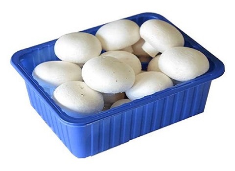 تصویر 1 از قارچ خوراکی تازه مناسب سالاد و سوپ