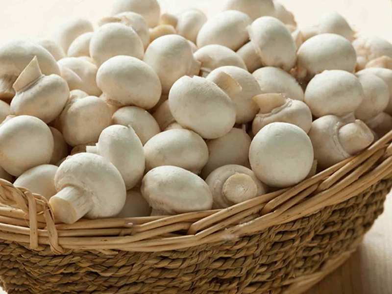 تصویر 2 از قارچ دکمه ای سفید خوراکی تازه ارگانیک