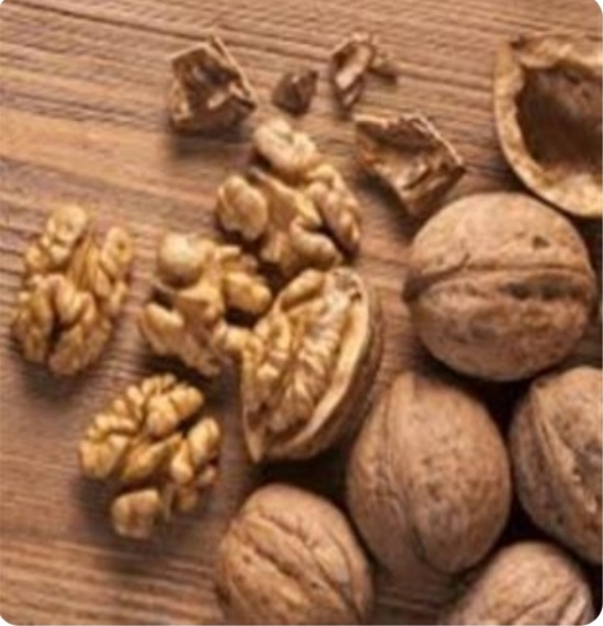 خرید عمده گردوی بلغاری با رطوبت طولانی + فروش عمده داخلی و صادراتی