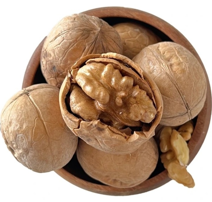 خرید عمده گردوی بلغاری با آنتی اکسیدان بالا + فروش عمده با سوده طرفین