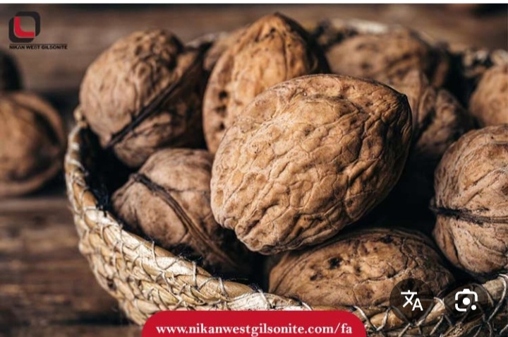 خرید عمده گردوی بلغاری رژیم غذایی سالم + فروش عمده با شرایط ویژه