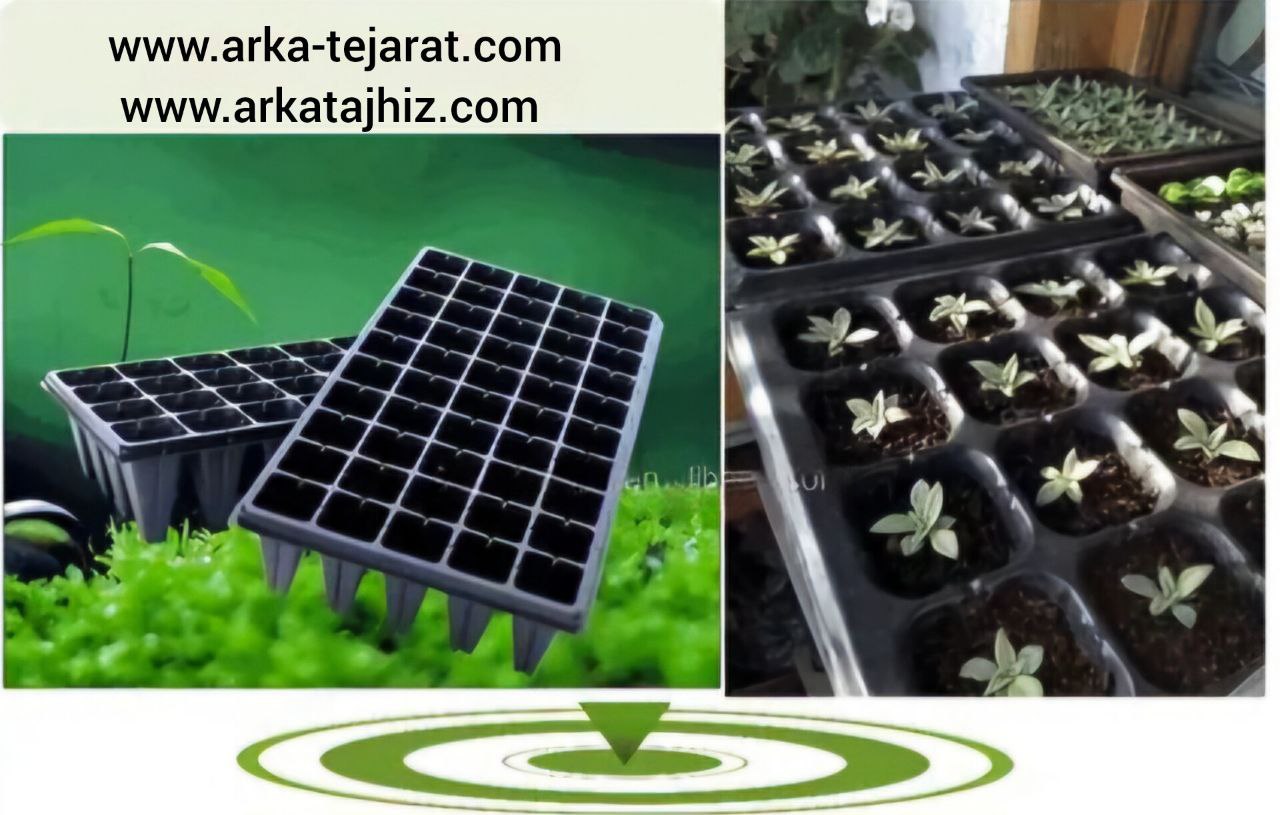 تصویر 4 از خرید و قیمت سینی نشا 112 حفره فروش بی واسطه و باصرفه