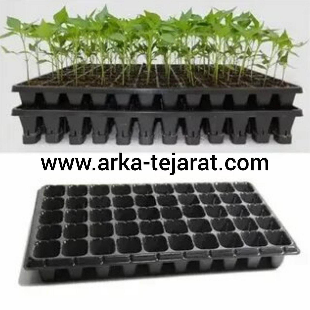 تصویر 4 از خرید آنلاین سینی کشت بذر 112 حفره با پایین ترین قیمت