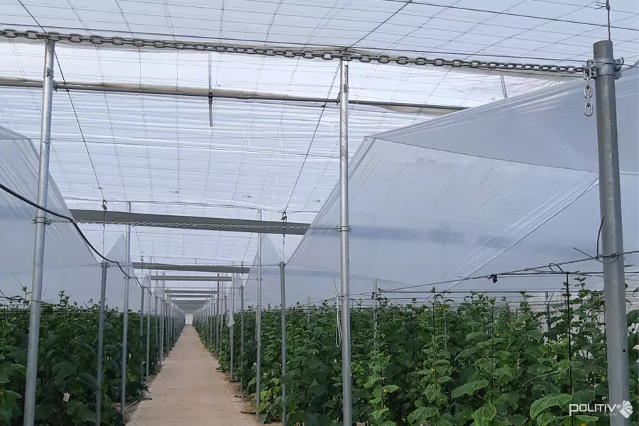 تصویر 1 از آسان سینی نخریدشا 112 حفره + قیمت به‌صرفه