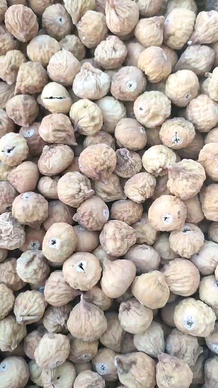 فروش فوق العاده انجیر خشک سایز درشت سوپر و سفید