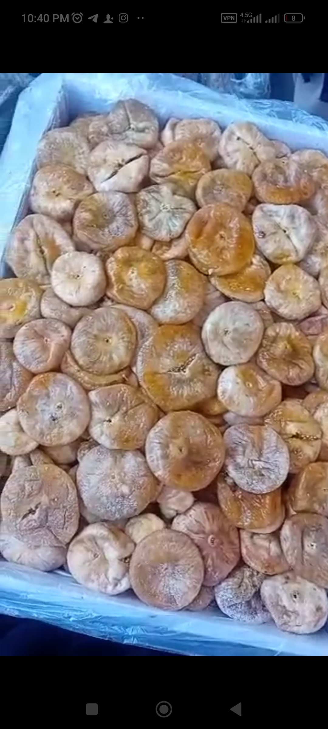 فروش بهترین انجیر سکه‌ای و مرطوب ریجاب + قیمت رقابتی