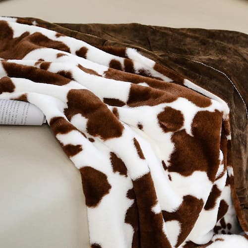 تصویر 4 از نمایندگی فروش و پخش پتو گلبافت