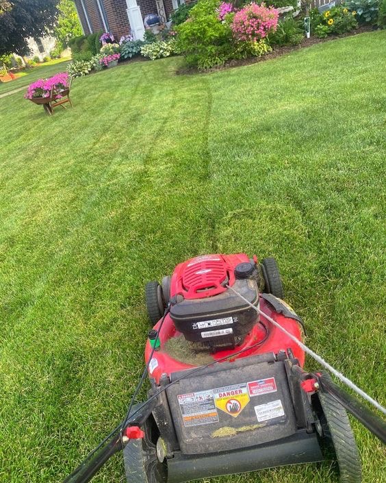 تصویر 4 از چمن زن برقی با موتور پر قدرت و صدای کم