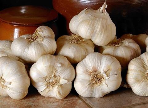 تصویر 1 از سیر همدان کوهستانی عطر طبیعی و خاصیتی عالی