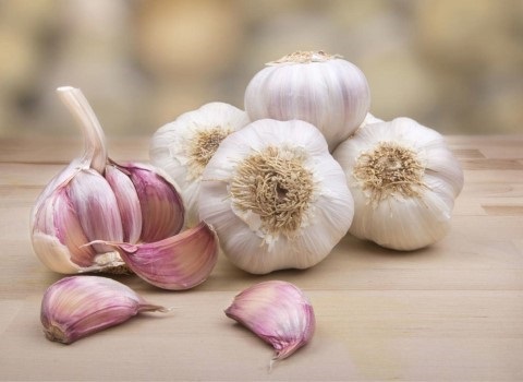 تصویر 2 از سیر همدان کوهستانی عطر طبیعی و خاصیتی عالی