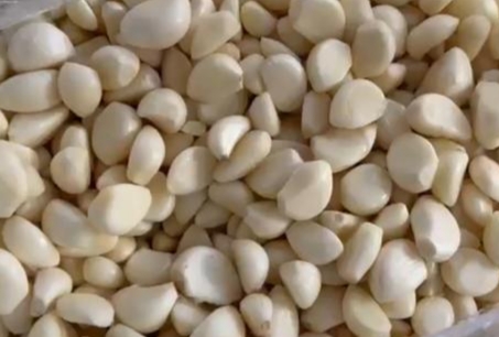 تصویر 3 از سیر همدان کوهستانی عطر طبیعی و خاصیتی عالی