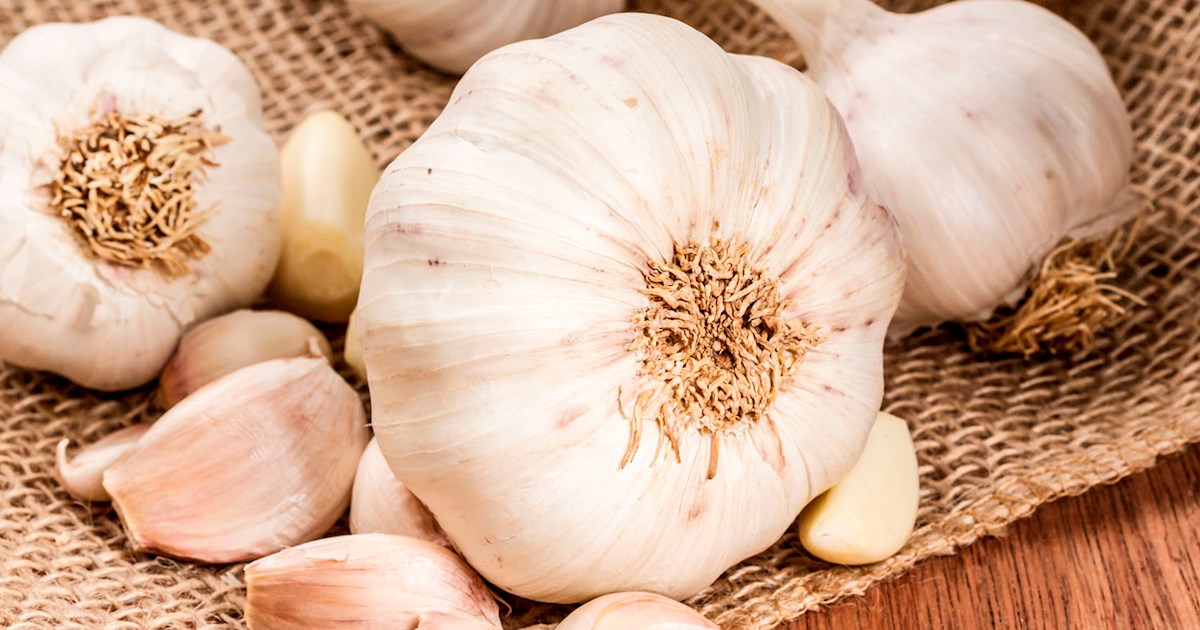 تصویر 1 از سیر خراسان متوسط درجه یک