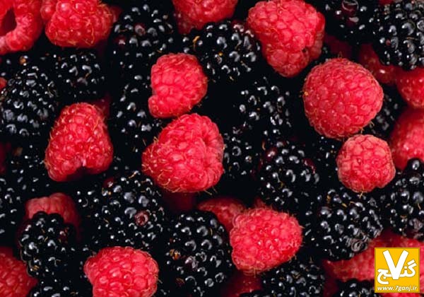 قیمت میوه پفکی