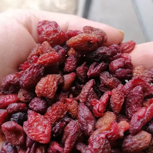 زغال اخته خشک درشت گوشتی + ممتاز