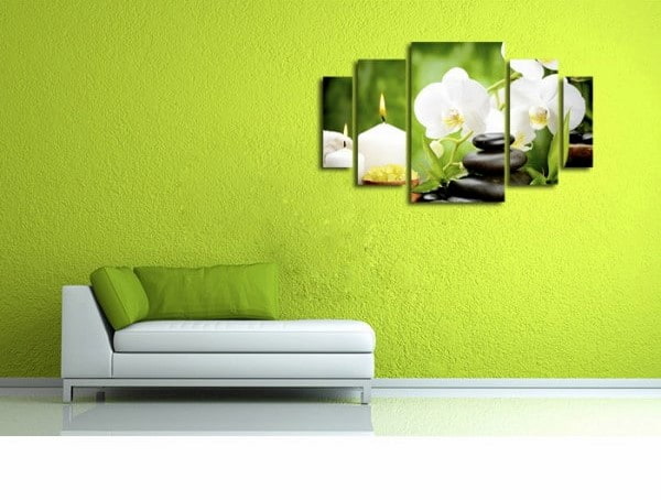 رنگ پلاستیکی سبز با جلوه ای طبیعی و آرامش بخش