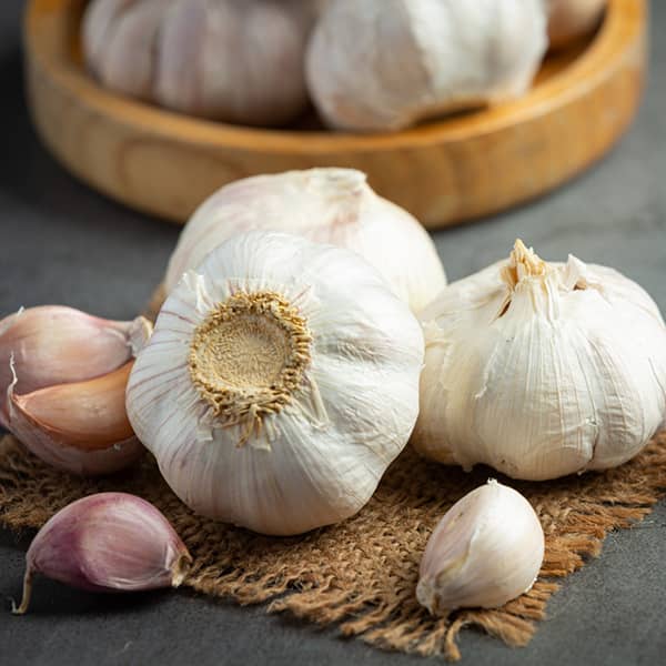 تصویر 4 از سیر فارس حبه بلند با کیفیت ممتاز و طعمی عالی