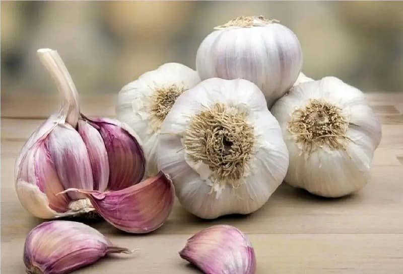 تصویر 4 از سیر فارس شیرین طعمی عالی با تندی متوسط