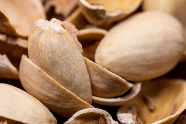 تصویر 4 از پوست پسته استخوانی مناسب تولید کود آلی