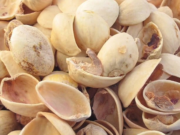 تصویر 3 از پوست پسته استخوانی مناسب تولید کود آلی