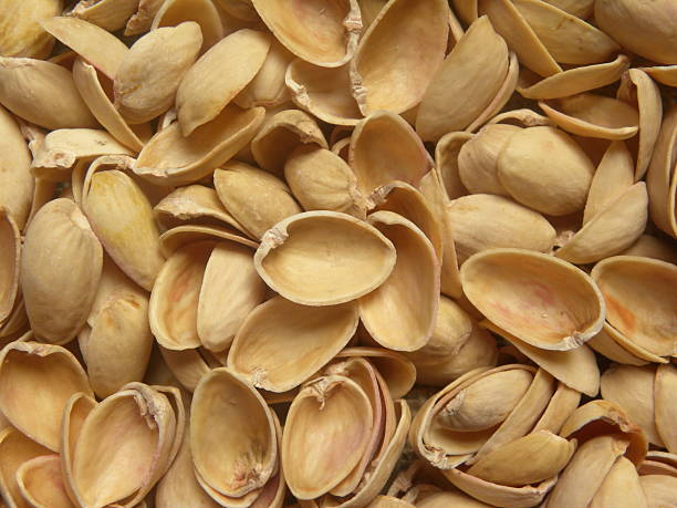 تصویر 2 از پوست پسته استخوانی مناسب تولید کود آلی