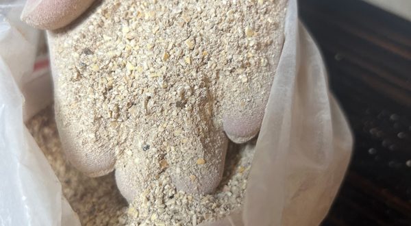 پوست پسته آسیاب‌ شده مناسب خوراک دام