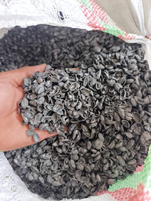 تصویر 1 از پوست پسته کربن شده اصل پایه تولید زغال