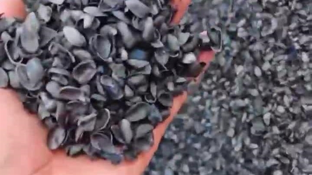 تصویر 2 از پوست پسته کربن شده اصل پایه تولید زغال