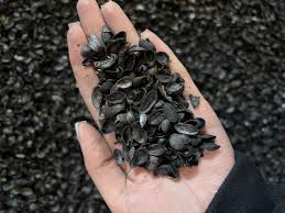 تصویر 3 از پوست پسته کربن شده اصل پایه تولید زغال