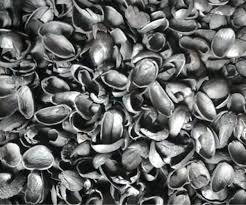 تصویر 5 از پوست پسته کربن شده اصل پایه تولید زغال