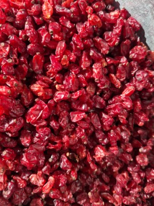 قیمت زرشک دانه اناری