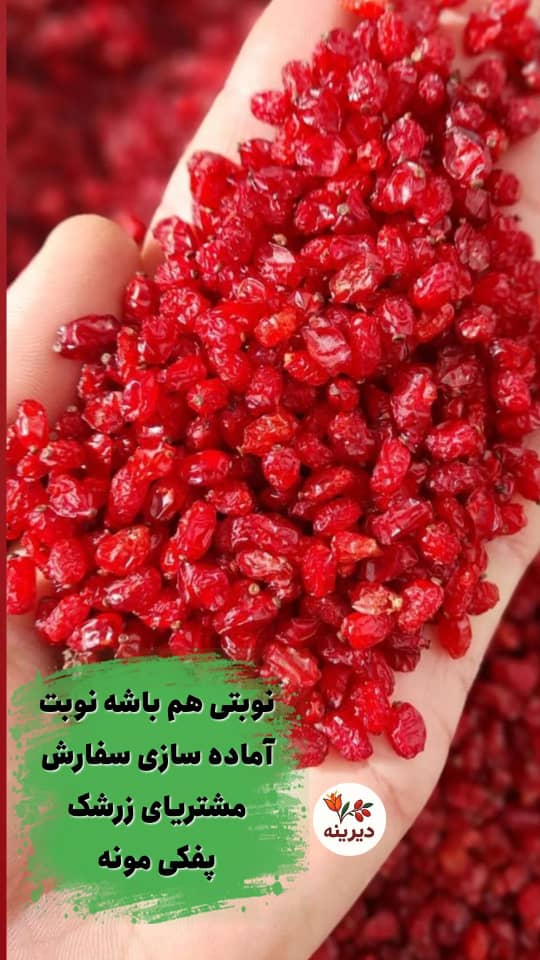 زرشک پفکی اعلا + قيمت عمده