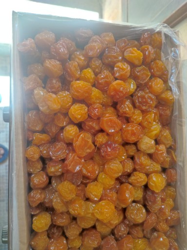 آلو مراغه + قيمت رقابتی