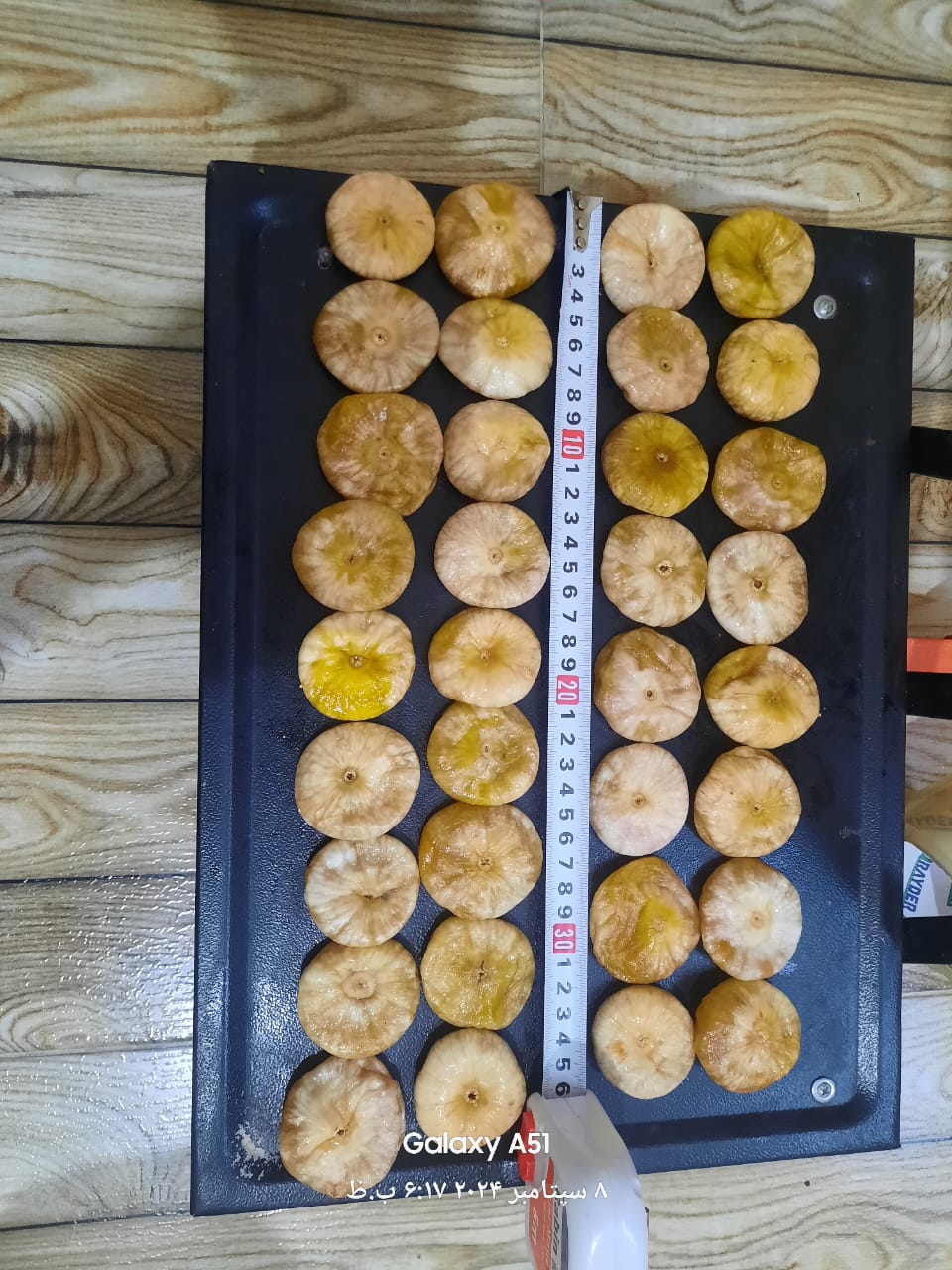 فروش انجیر ریجاب + فروشی استثنایی و مناسب