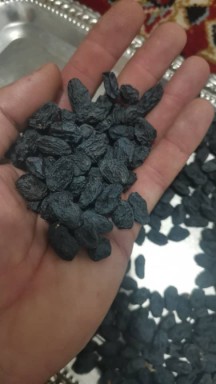 تصویر 1 از مویز ترکمن + فروش عمده