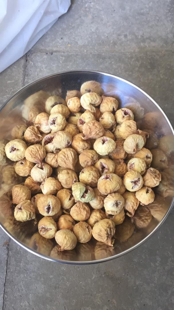 فروش ویژه انجیر سفید و گوشتی + خرید باورنکردنی