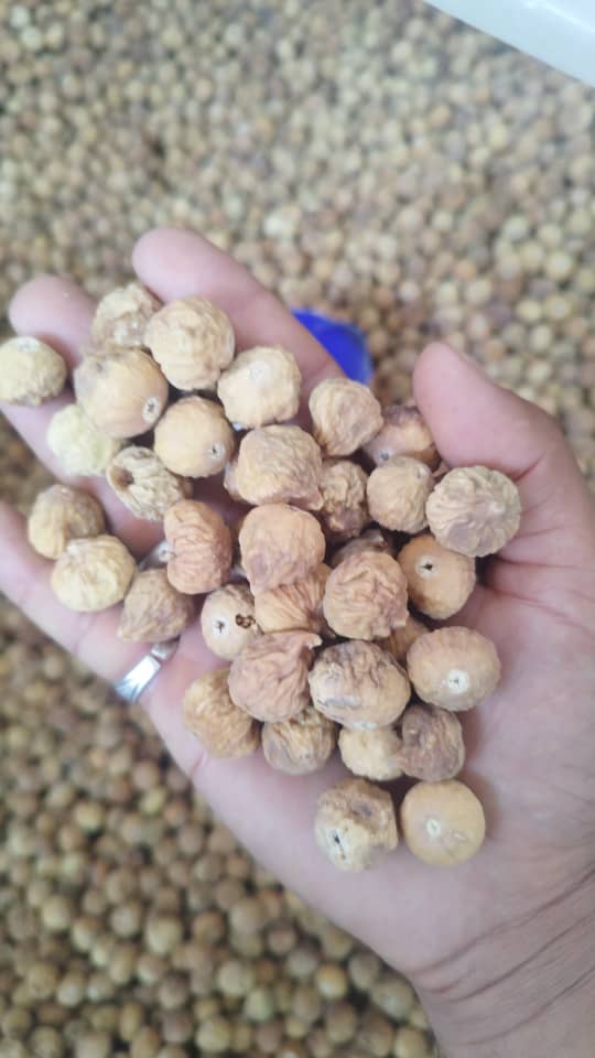 فروش ویژه انجیر AA پلاس + مناسب بازار جهانی