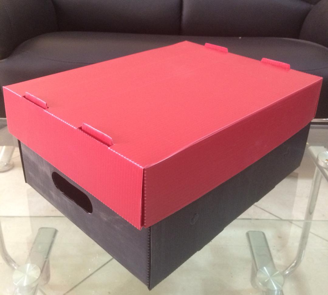 فروش فوری کارتن پلاست فلفل دلمه ای + خرید بدون واسطه