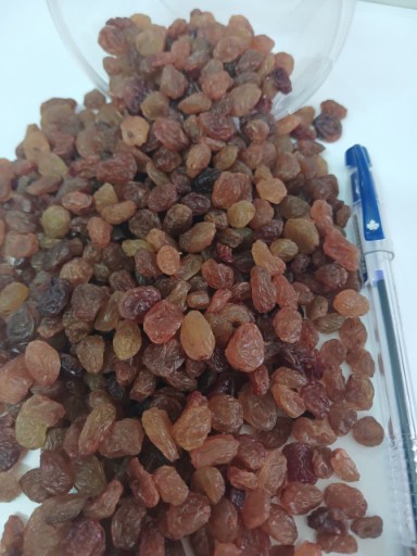 تصویر 1 از کشمش پلویی آفتابی + فروش عمده