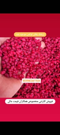 تصویر 1 از زرشک پفکی اعلا + قيمت عمده