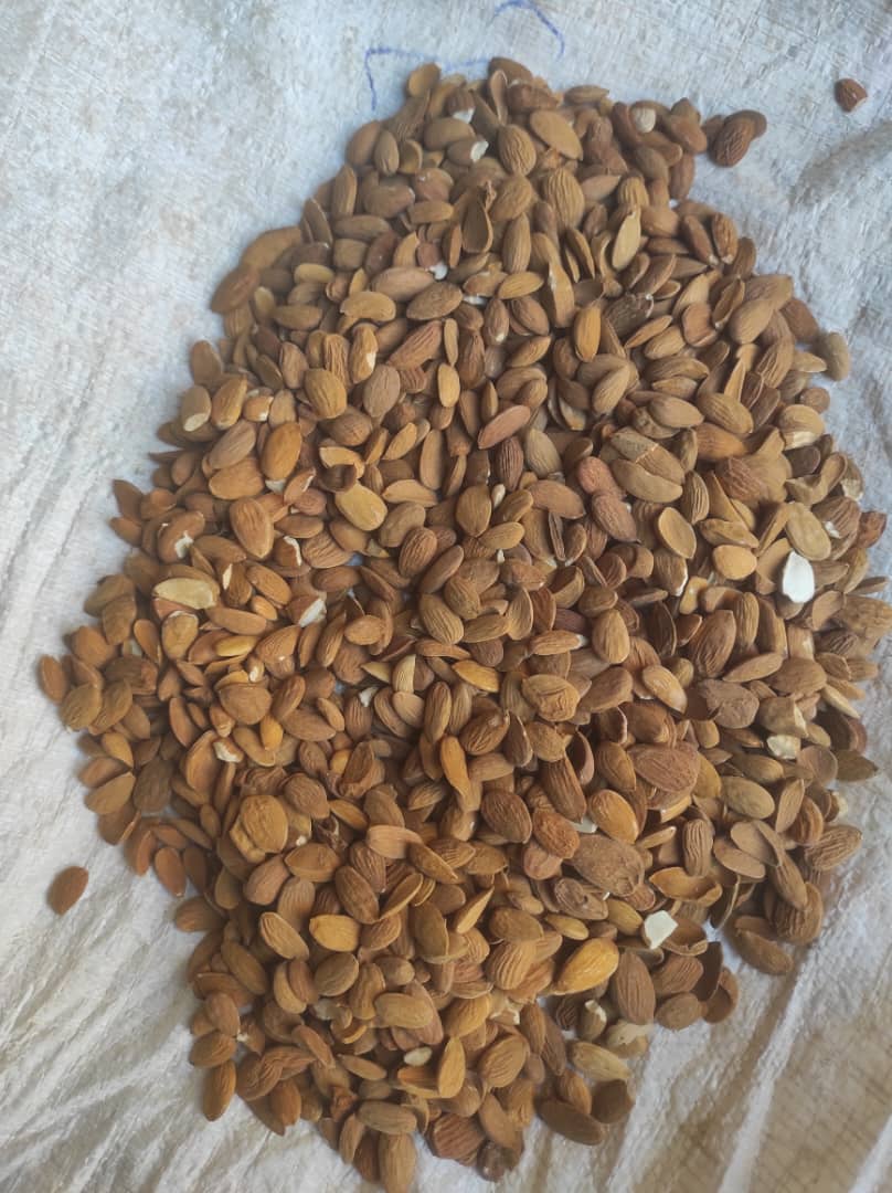 مغز بادام ایرانی + قيمت باورنکردنی