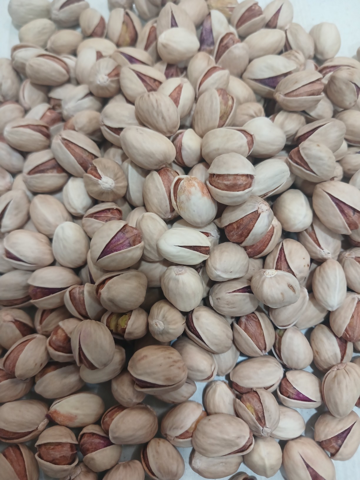 پسته فندوقی + قيمت روز