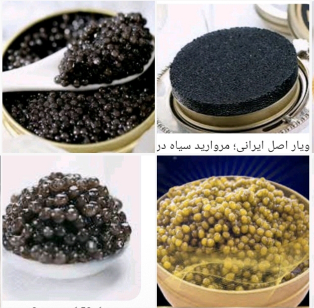 تفاوت خاویار بلوگا با خاویار بری