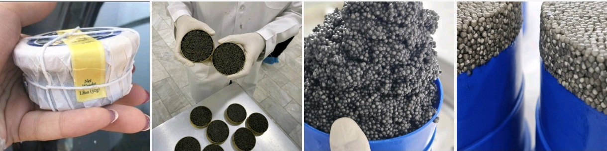 تفاوت خاویار بلوگا با خاویار آسترا