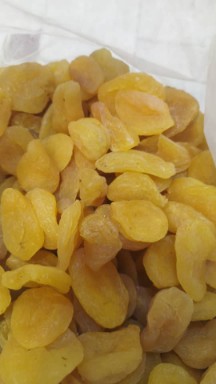 زردآلو قیسی