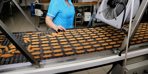 تصویر 5 از راه‌ اندازی خط تولید بیسکویت پتی بور با تجهیزات مدرن صنعتی