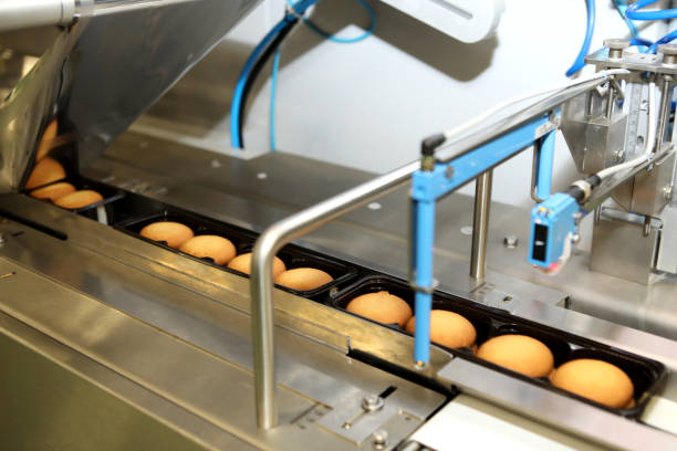 تصویر 1 از راه‌ اندازی خط تولید بیسکویت پتی بور با تجهیزات مدرن صنعتی